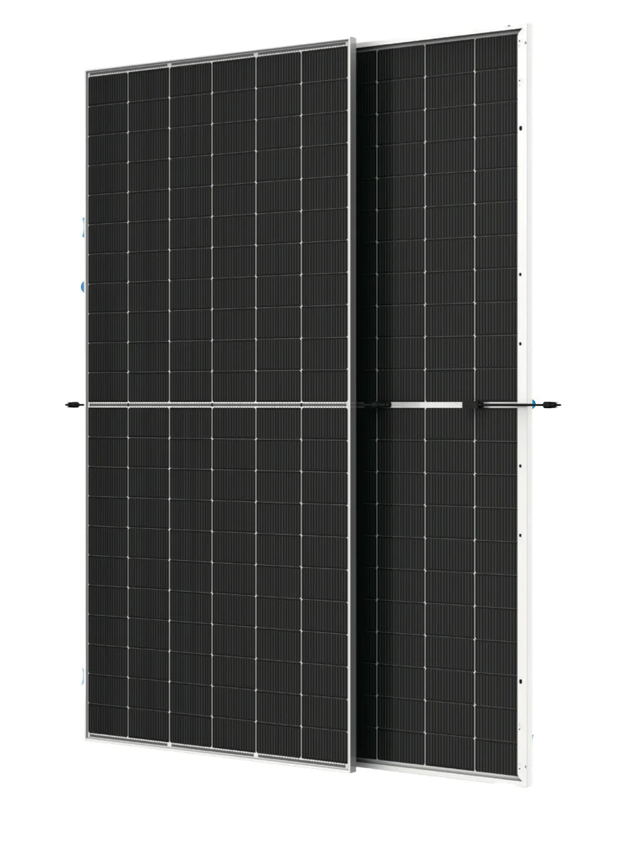 610W/745W Bifacial Solar Panel TRINA SOLAR TSM-610NEG19RC.20